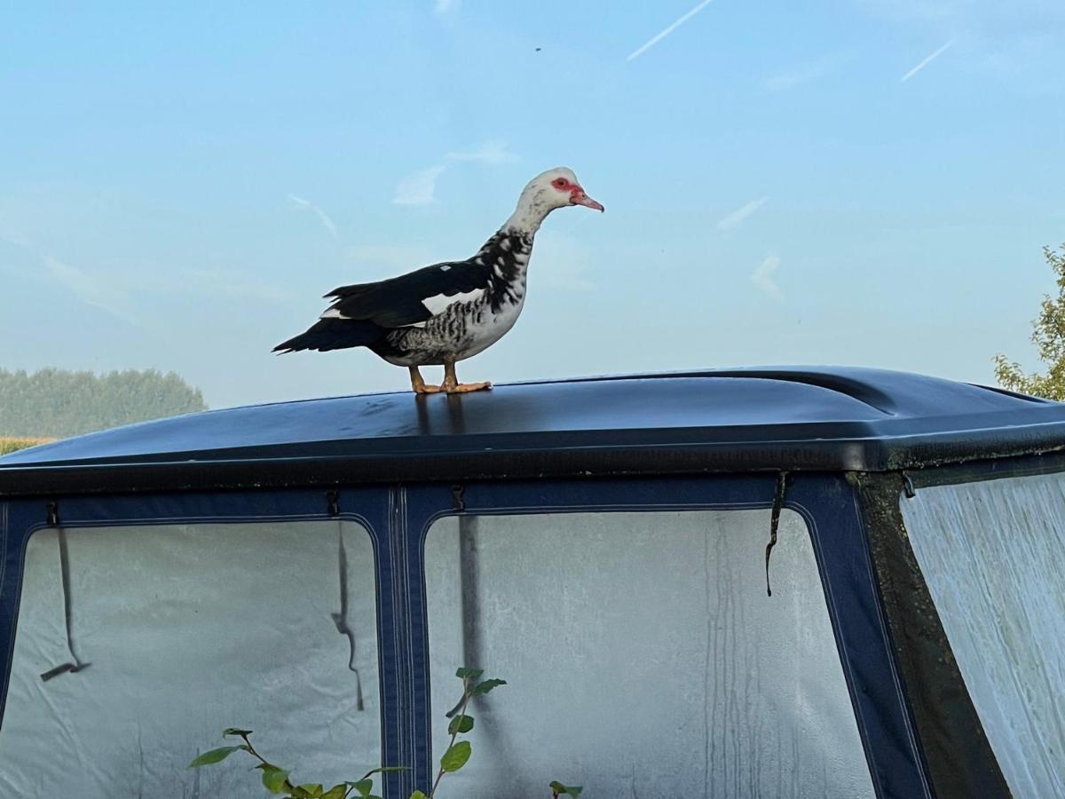 Parel van Bever - Perle de Biévène Esterno foto